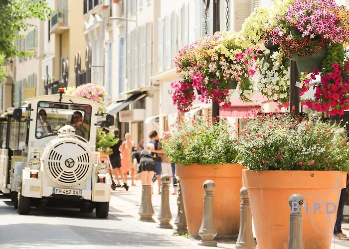 Olivette شقة أنتيب